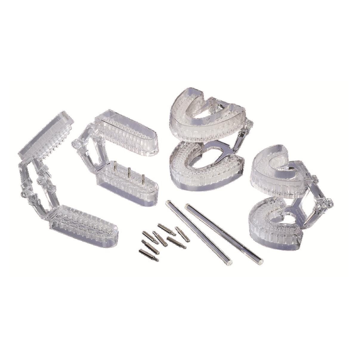 Articulateur arcade antrieure MainStay x25 + 100 pins WHIP MIX