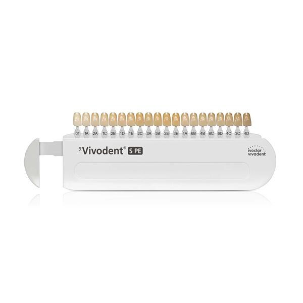 SR Vivodent S PE Sample 3xDenture 2A