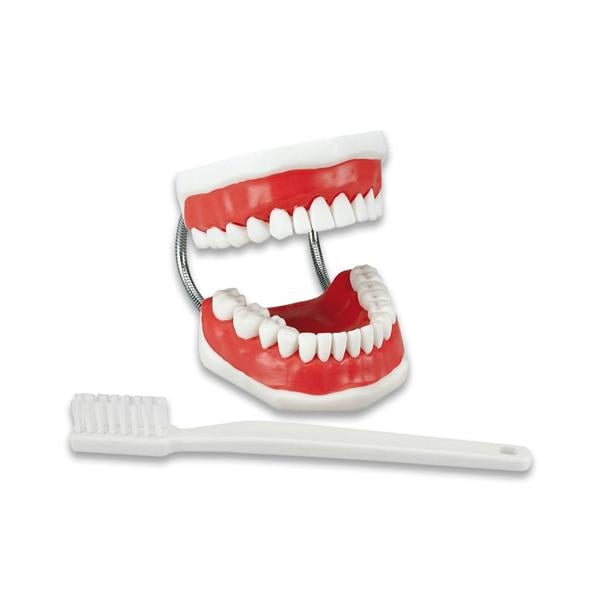 Modle de dmonstration gant HAGER & WERKEN