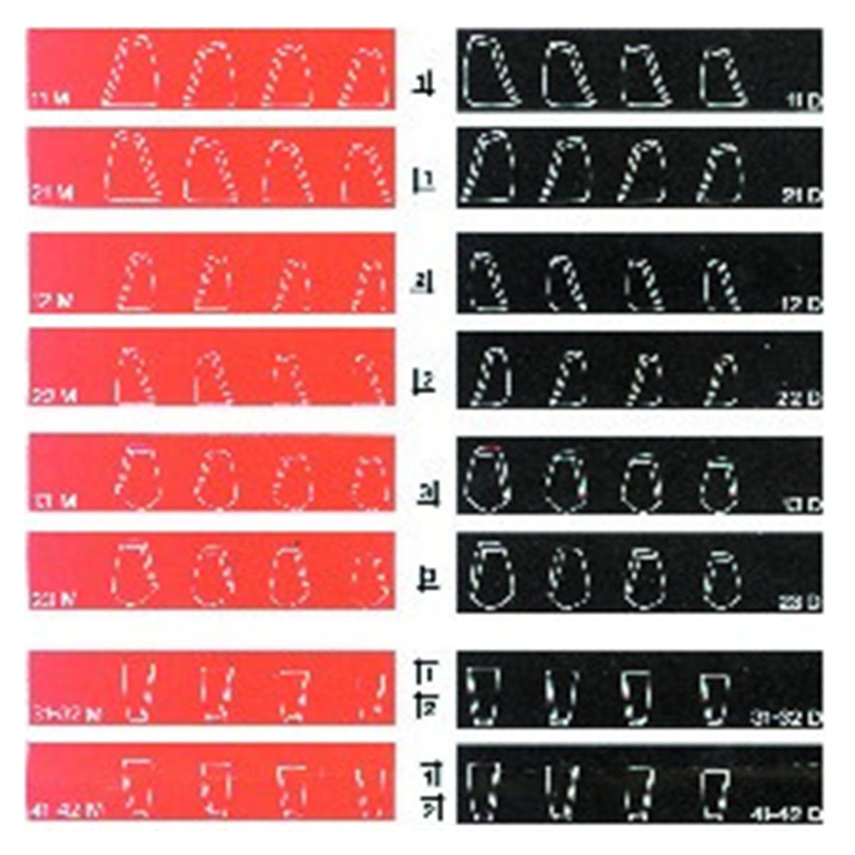 Matrices Coform DIRECTA - 11M - Bote de 8