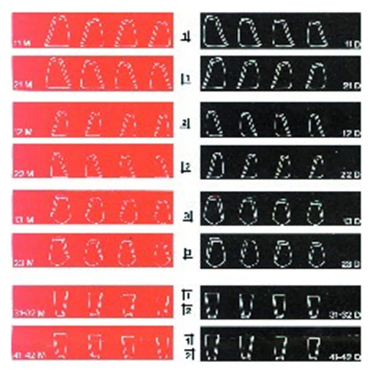 Matrices Coform DIRECTA - 21M - Bote de 8