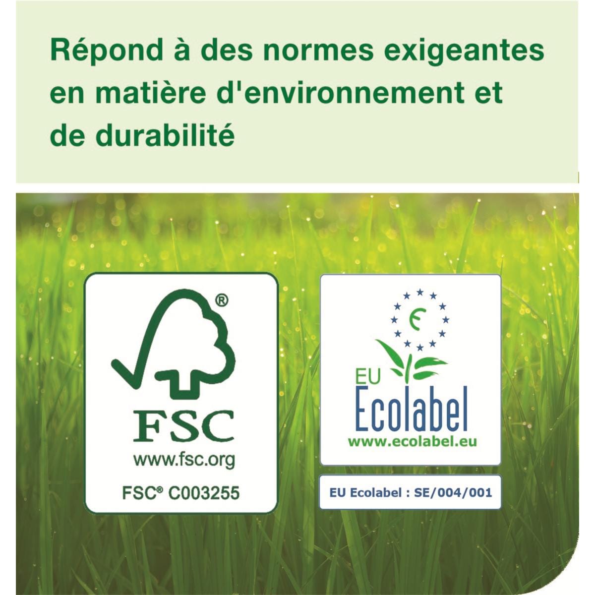 Bobine essuie-mains TORK - Le carton de 6 rouleaux - 2 plis