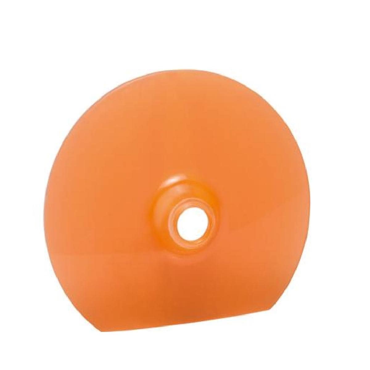 DISQUE PROTECTION G4 & POWERCURE IVOCLAR VIVADENT