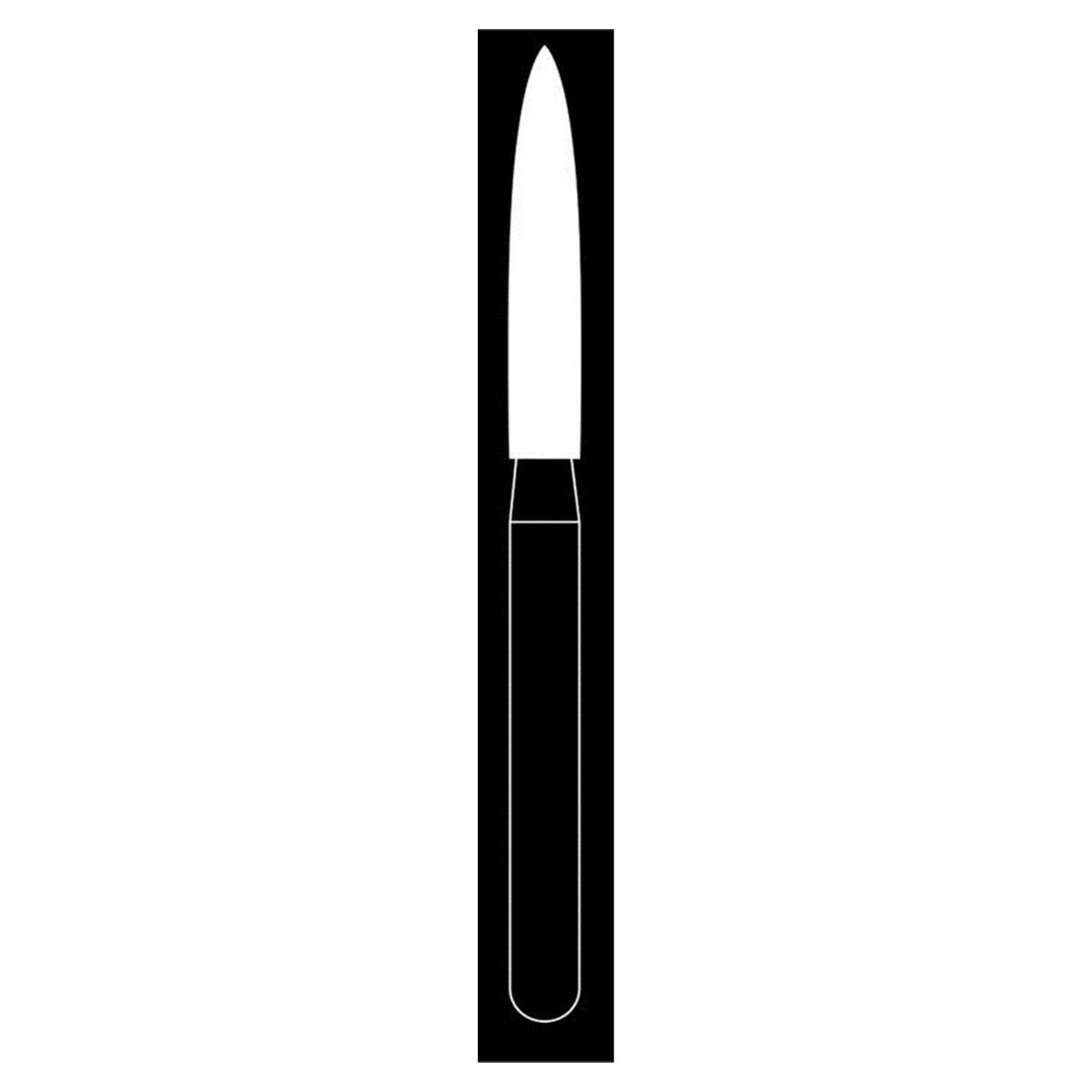 Fraise diamante Maxima HENRY SCHEIN - Flamme longue 863-014M FG - Bote de 5