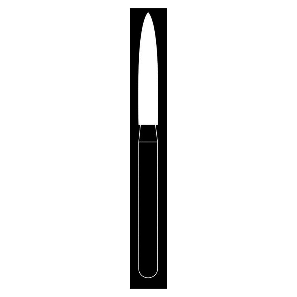 Fraise diamante Maxima HENRY SCHEIN - Flamme longue 863-014SC FG - Bote de 5