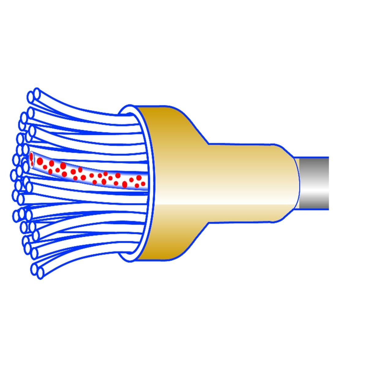 Occlubrush KERR - Cupules - Regulieres - (10)