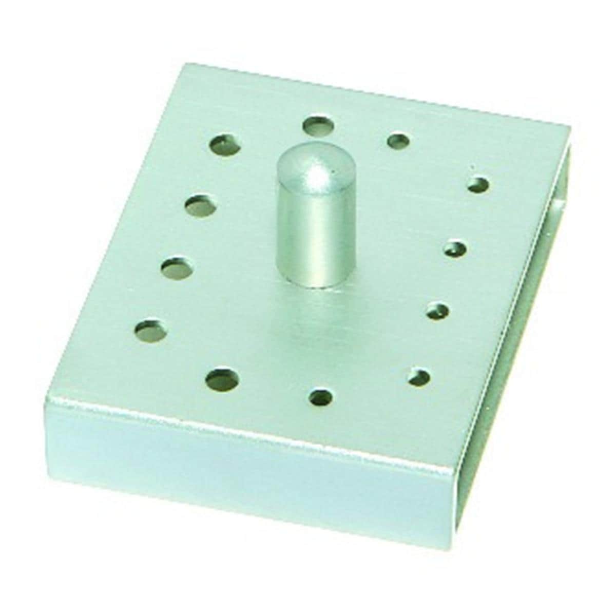Porte-Fraises Inox NICHROMINOX - 12 Fraises - FG
