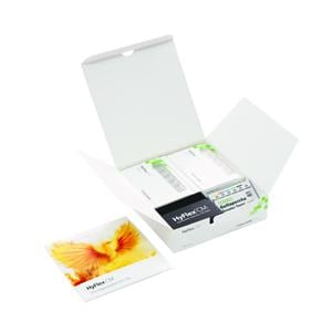 Limes Hyflex CM COLTENE - 21mm - Assortiment - Blister de 6