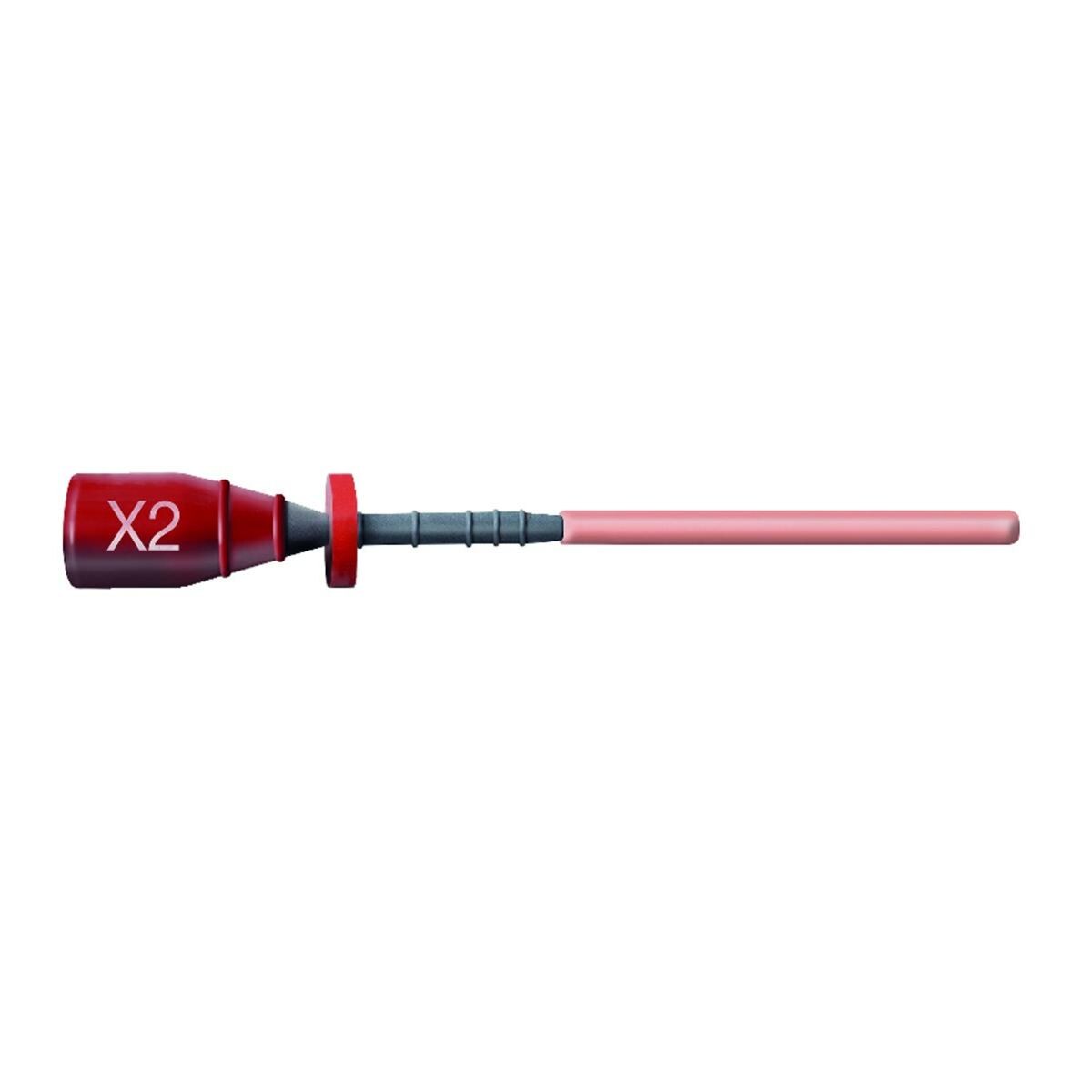 Guttacore Protaper Next DENTSPLY SIRONA - X2 - Blister de 6