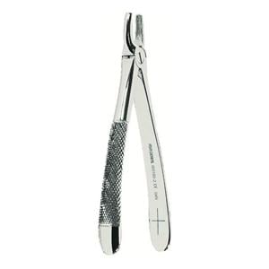 Davier Profil Retentif Lady W0160-2   Derby