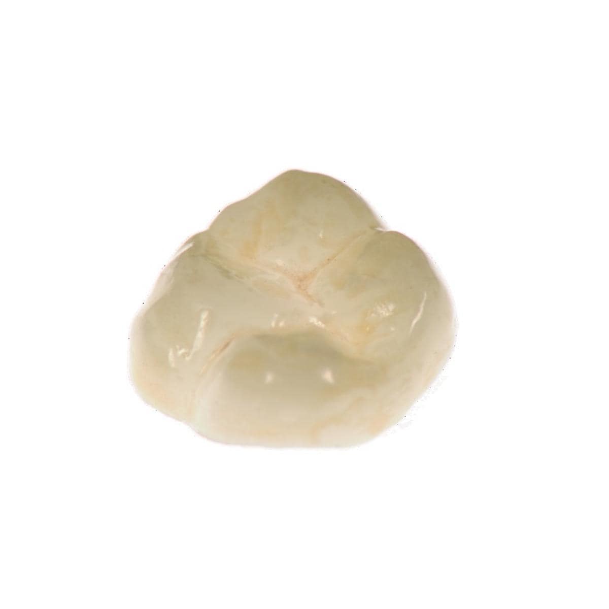 CELTRA Duo DENTSPLY SIRONA - Blocs LT - Teinte A2 - Taille C14 - Bote de 4
