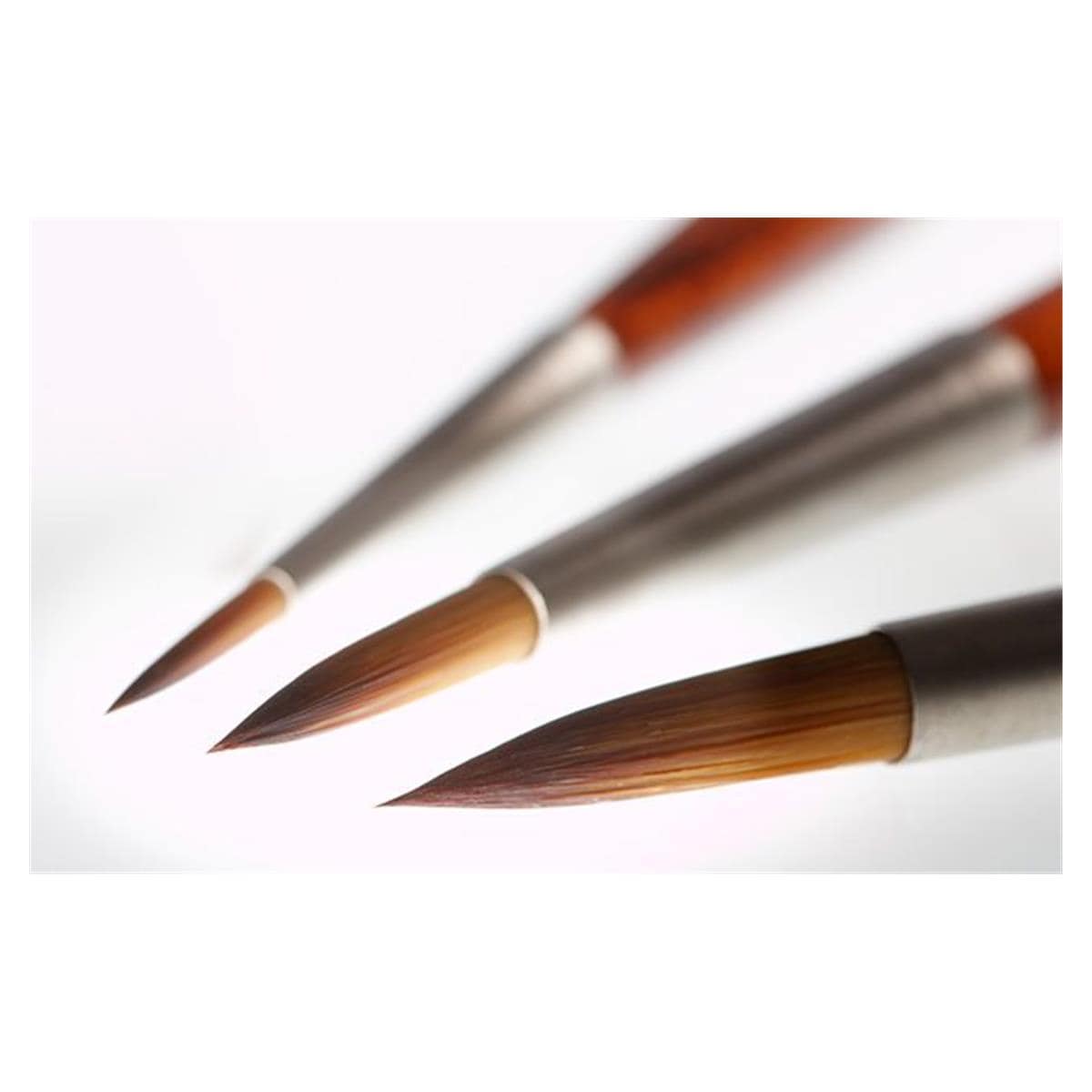 Pinceaux Ceramicus RENFERT - Le set de 6 pinceaux assortis (1/0, 1, 2, 4, 6, 8)