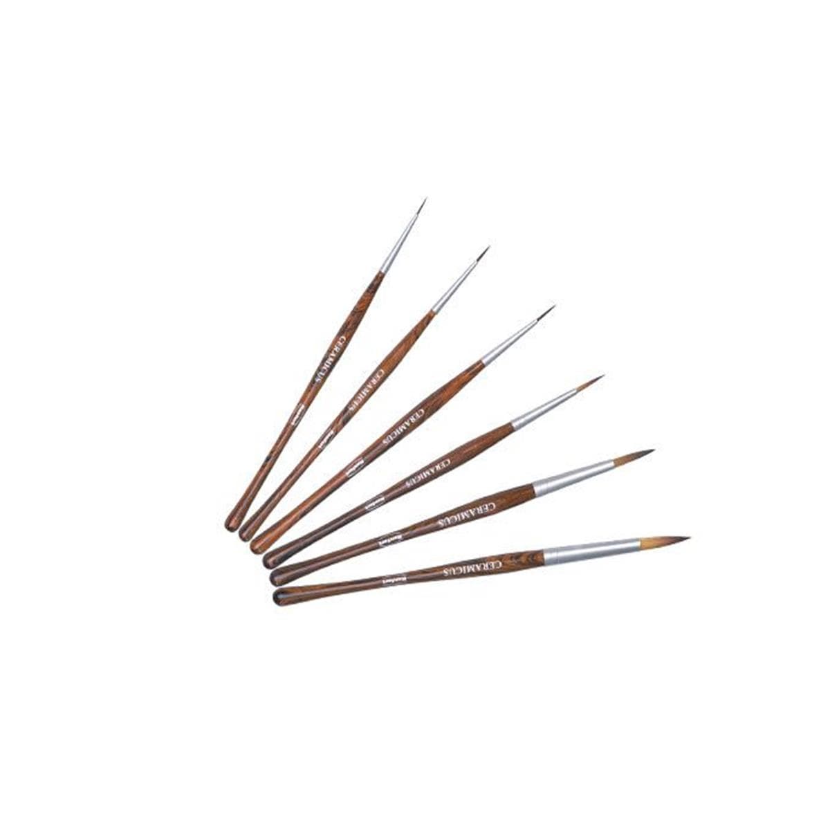 Pinceaux Ceramicus RENFERT - Le set de 6 pinceaux assortis (1/0, 1, 2, 4, 6, 8)