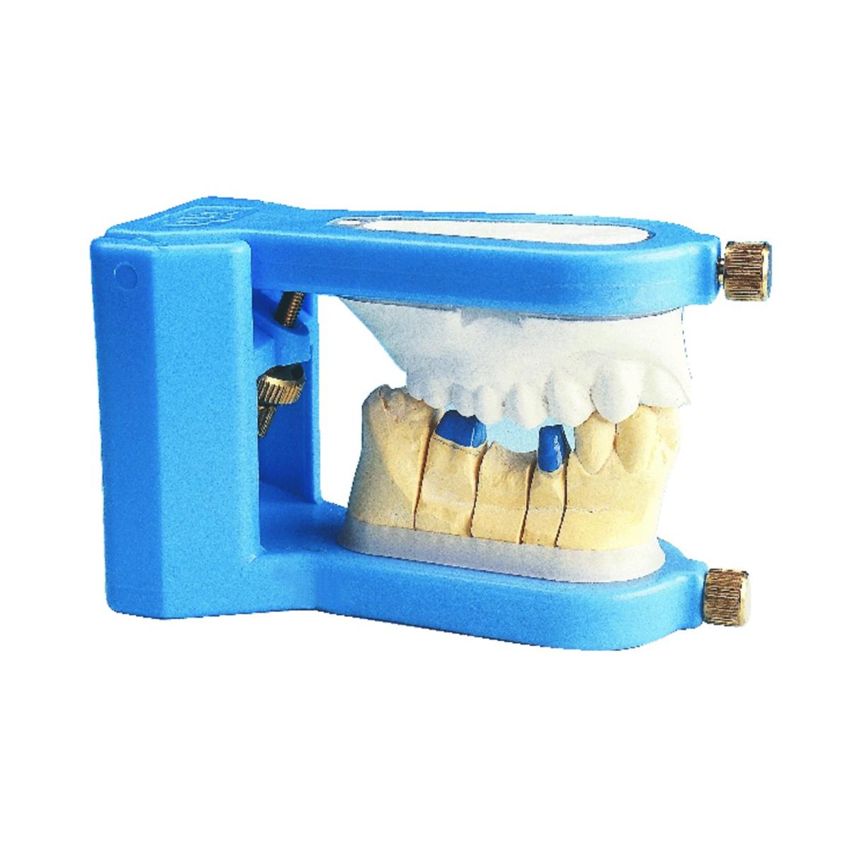 Articulateur bleu CUP EURO-DENTIS