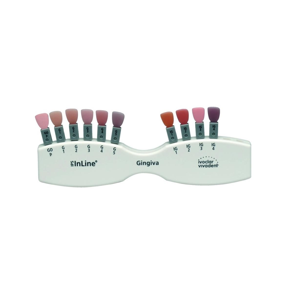IPS Style Ceram IVOCLAR - Le teintier Gingiva Solution