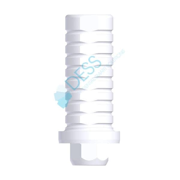 Pilier calcinable RN, anti-rotationnel, pour STRAUMANN TISSUE LEVEL et SYNOCTA. Vis incluse 29 009 DESS