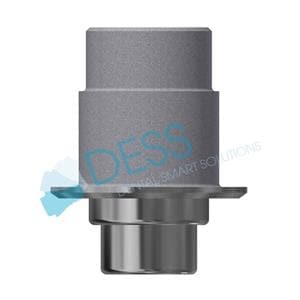 Interface titane WP, HG 0,3mm, rotationnelle pour DENTSPLY FRIADENT XIVE Vis incluse 15 040 DESS