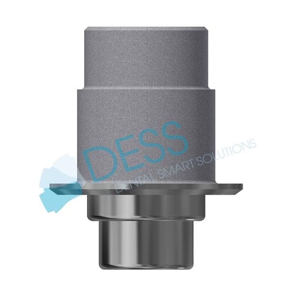Interface titane WP, HG 0,3mm, rotationnelle pour DENTSPLY FRIADENT XIVE Vis incluse 15 040 DESS