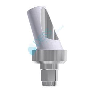 Pilier angul 25 RP sur implant pour 3I CERTAIN. Vis incluse 23 015 DESS