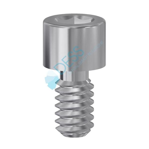 Vis Rp Sur Pilier P Dess