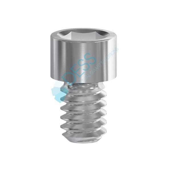 Vis Hexagonale 1,27Mm Rp Dess