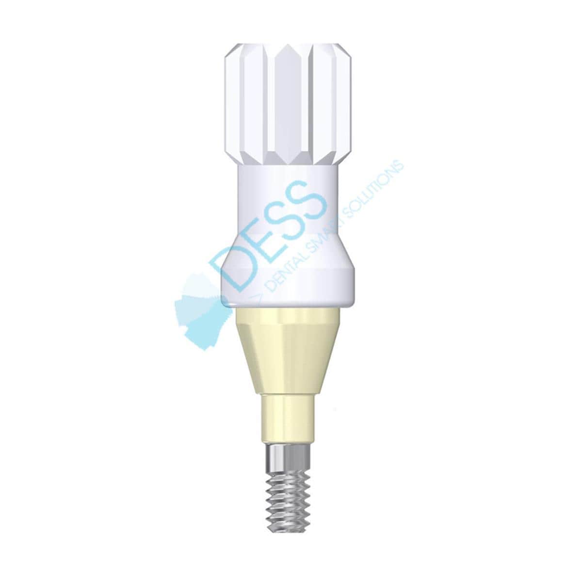 Pilier Dess Loc NP, HG 2,0mm, pour STRAUMANN BONE LEVEL 88 041/2 Dess