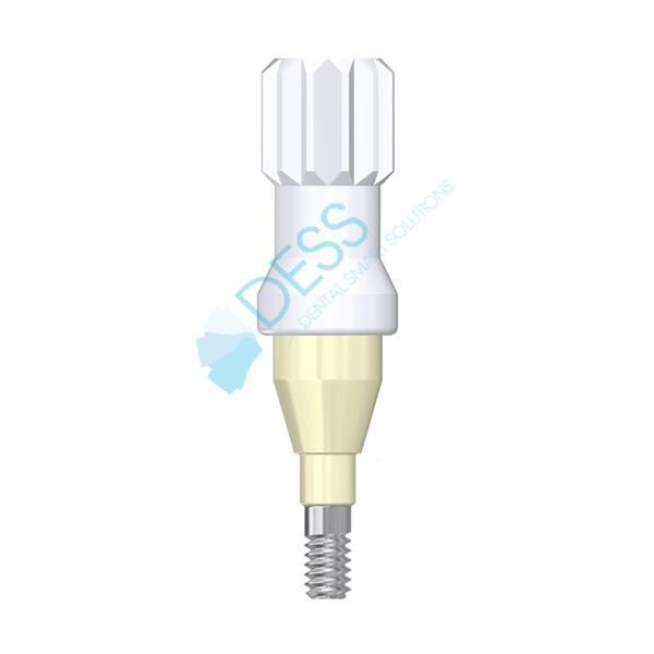 Pilier Dess Loc NP, HG 3,0mm, pour STRAUMANN BONE LEVEL 88 041/3 Dess
