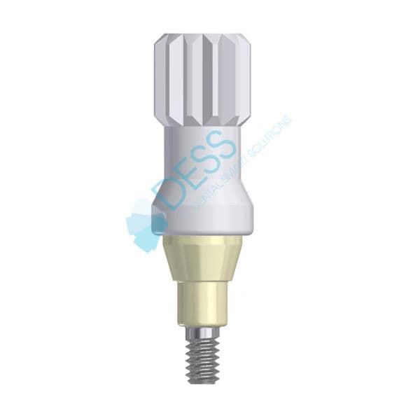 Pilier Dess Loc RP, HG 1,0mm, pour STRAUMANN BONE LEVEL 88 042/1 Dess