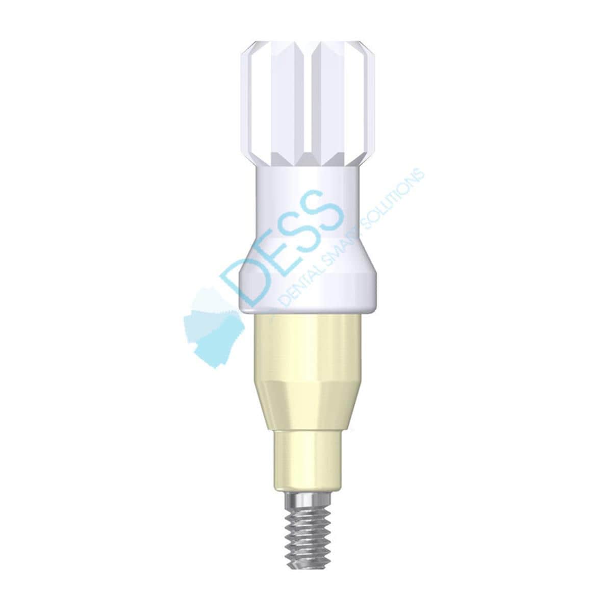 Pilier Dess Loc RP, HG 3,0mm, pour STRAUMANN BONE LEVEL 88 042/3 Dess