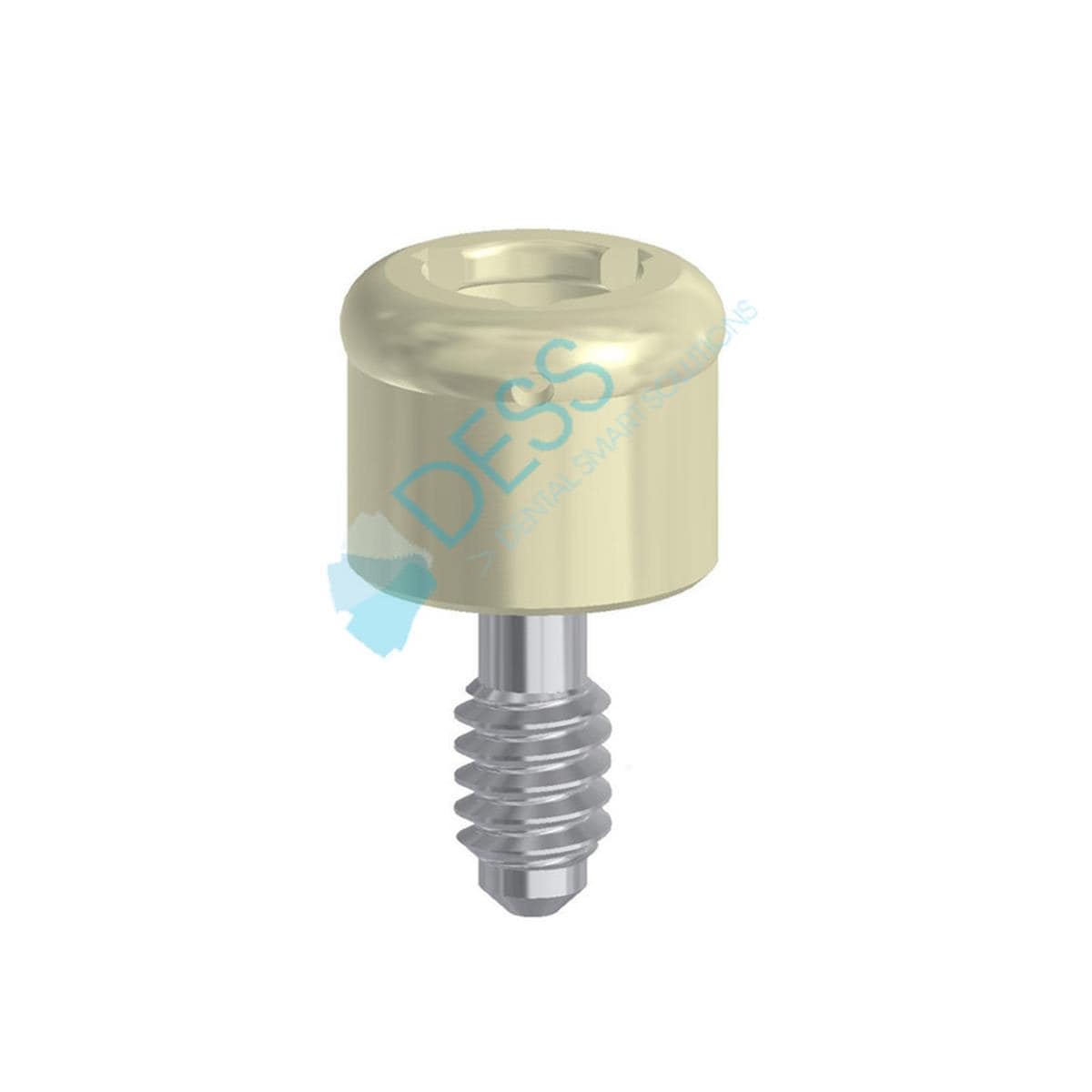 Pilier Dess Loc NP, HG 2,0 mm sur Implant, pour NOBEL BR?NEMARK 88 001/2 Dess