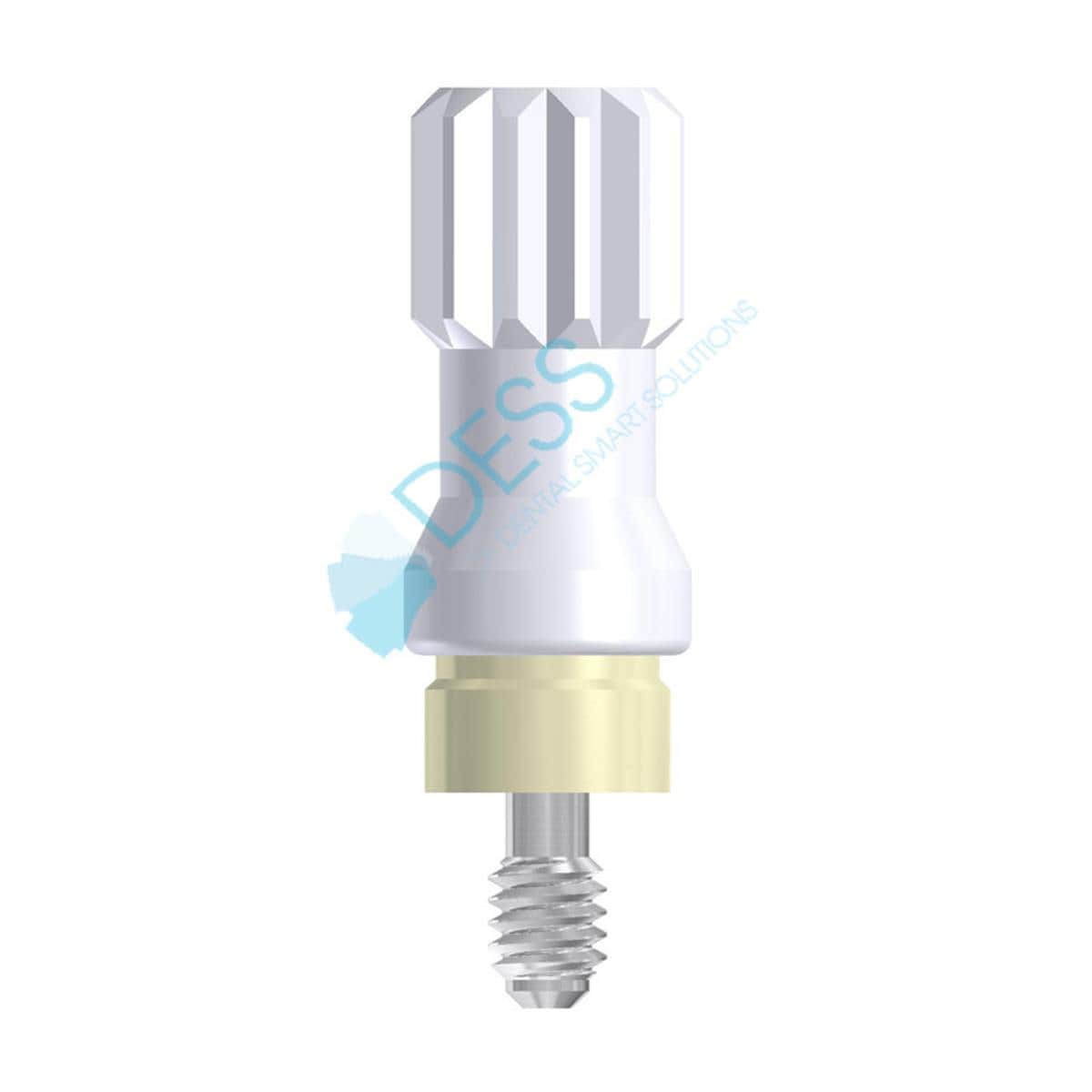 Pilier Dess Loc RP, HG 2,0mm pour 3I OSSEOTITE 88 002/2 DESS