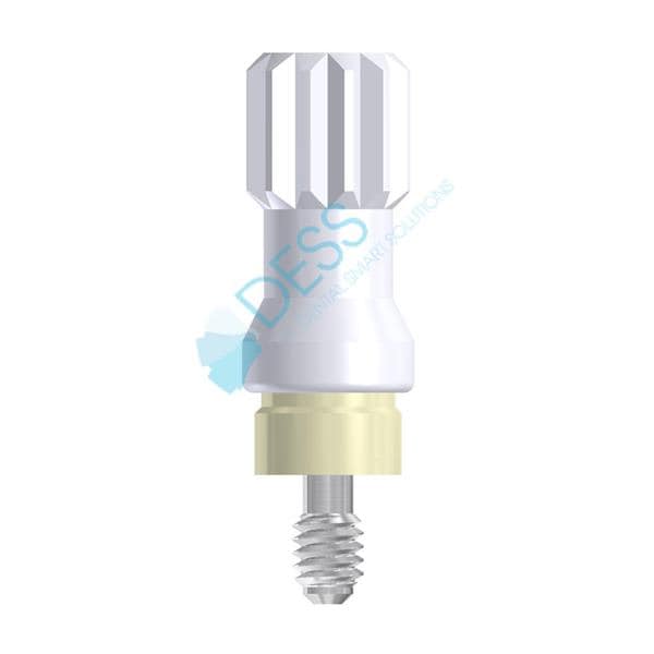 Pilier Dess Loc RP, HG 2,0mm pour 3I OSSEOTITE 88 002/2 DESS