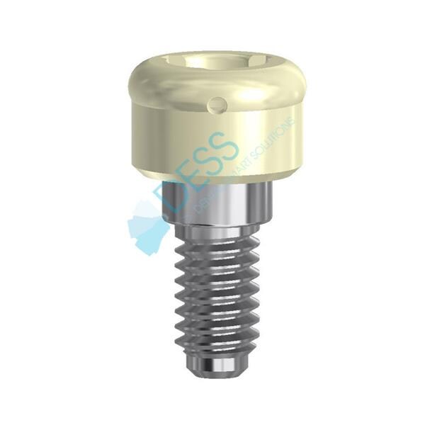 Pilier Dess Loc NP, HG 1,0mm, pour ZIMMER SCREW-VENT 88 017/1 DESS