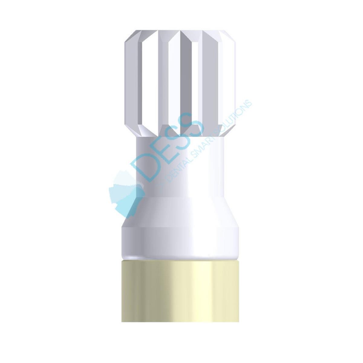Dess Loc Sur Pilier Multiunit 88 007 Dess