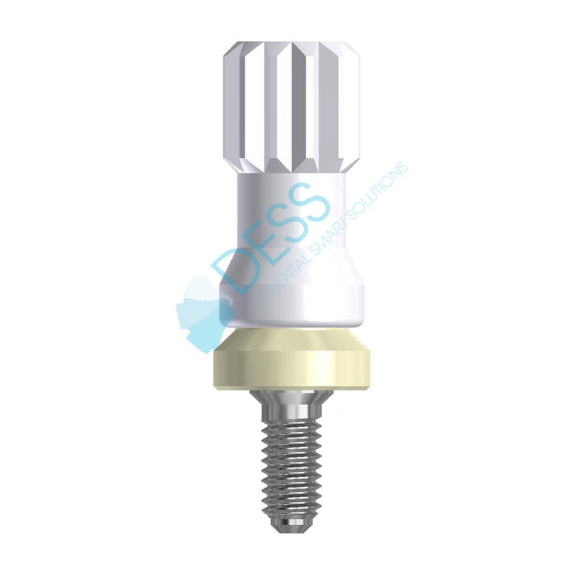 Pilier Dess Loc RN, HG 2,0mm pour STRAUMANN TISSUE LEVEL et SYNOCTA 88 009/2 DESS