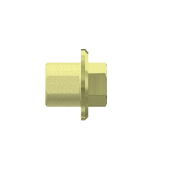 Base Aurum WP anti-rotationnel pour ZIMMER SCREW-VENT 37 019