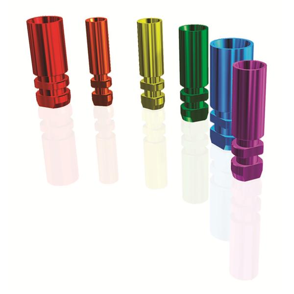 Analogue d'implants D3.0 Hex BH Interne Dess