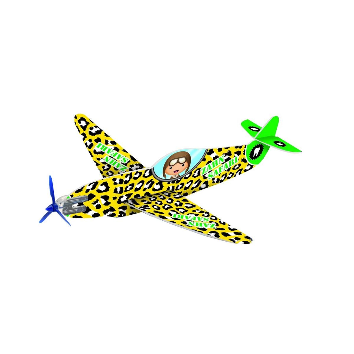 Avion Planeur HAGER WERKEN - Bote de 50