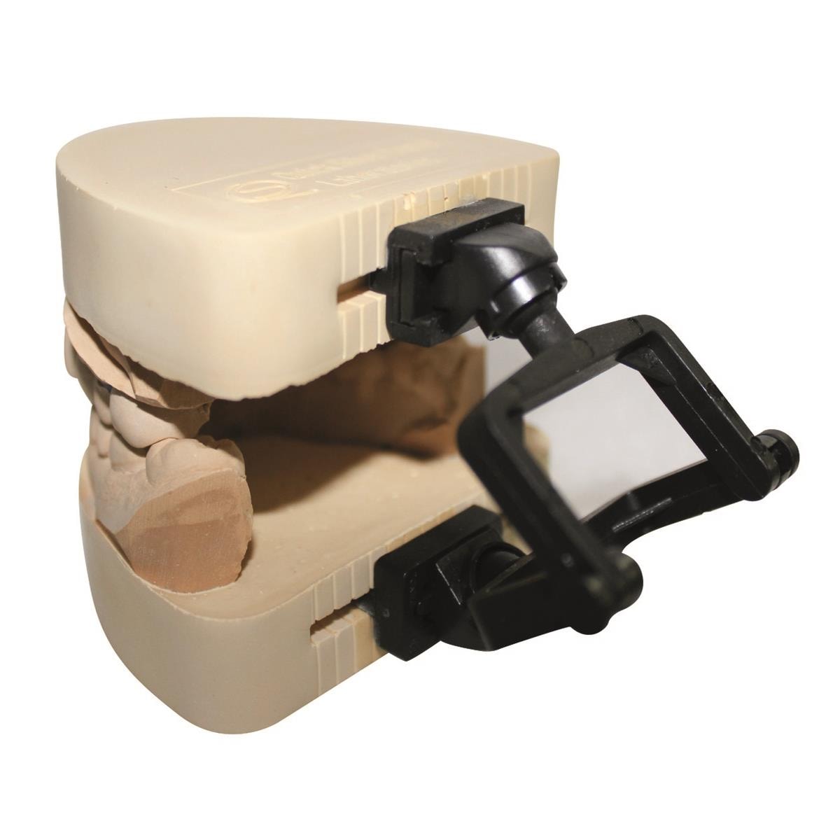 Articulateurs 3D Slot/flat HPS - La bote de 100