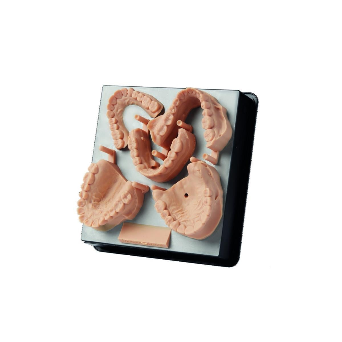 Rsine Dental Model Formlabs - 1L - Form 3