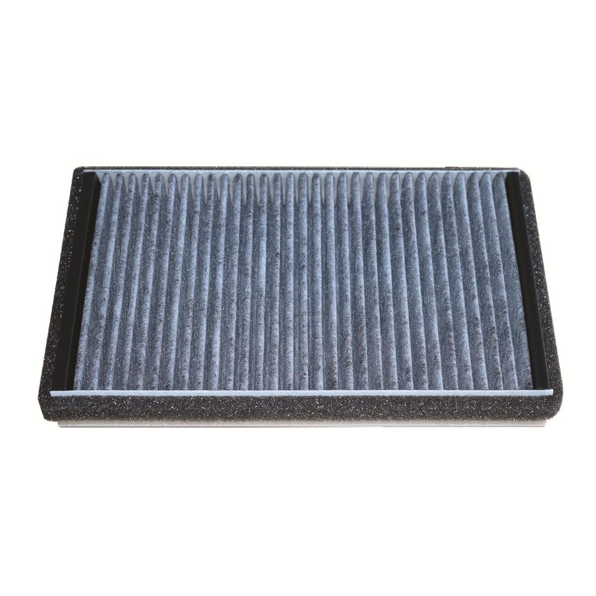 Filtre  charbon actif pour Primeprint - Dentsply Sirona