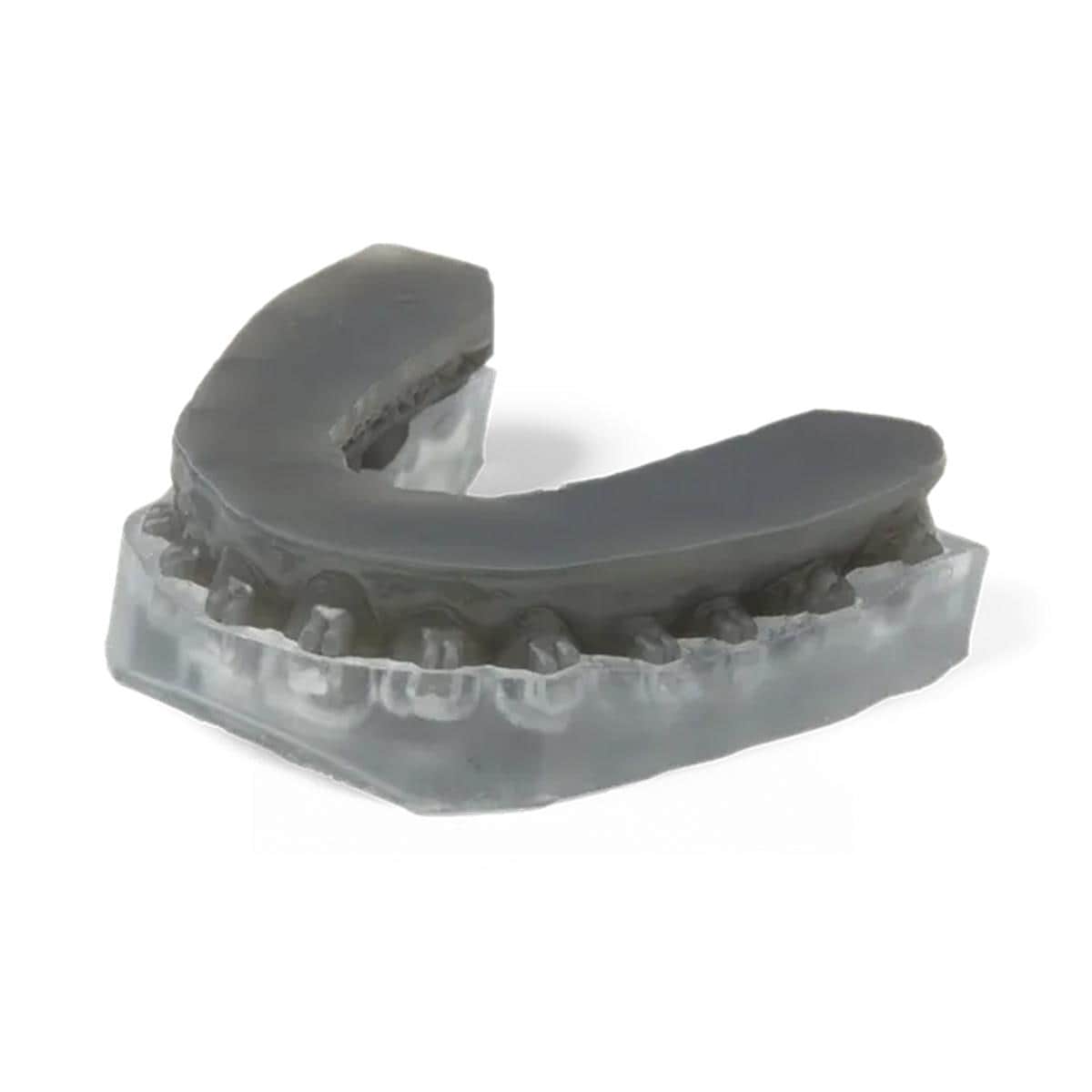 Resine Ibt Flex Formlabs - 1L - Form 3