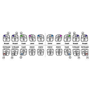 Bracket Lotus Plus DS ORTHO-TECHNOLOGY - MBT 0,018 - 5x5 crochet canine - Bote de 10