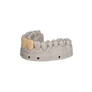Rsine 3D dima Print Stone Gray KULZER 1 kg