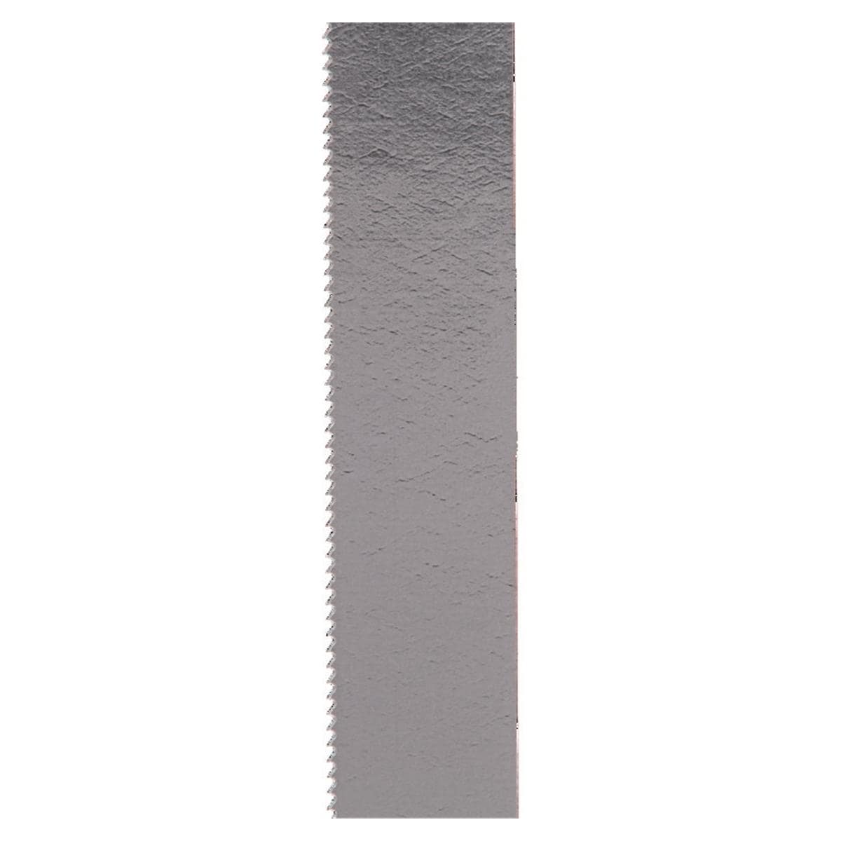 Scie proximale - JIFFY - Inox - 10