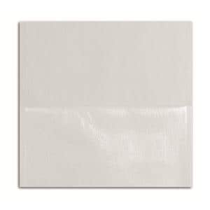 Housse ttire 33 x 34 cm blanc - lot de 250 - 213033 - Euronda