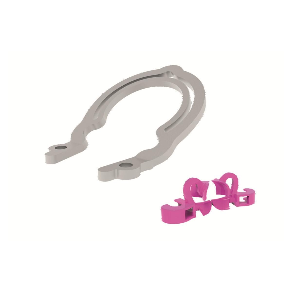 My ring prime 2 + 4 my tines prime - 6891 - polydentia