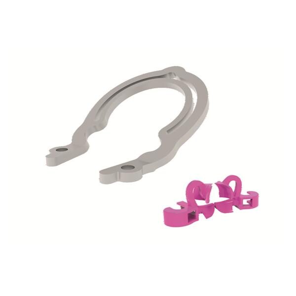 My ring prime 2 + 4 my tines prime - 6891 - polydentia