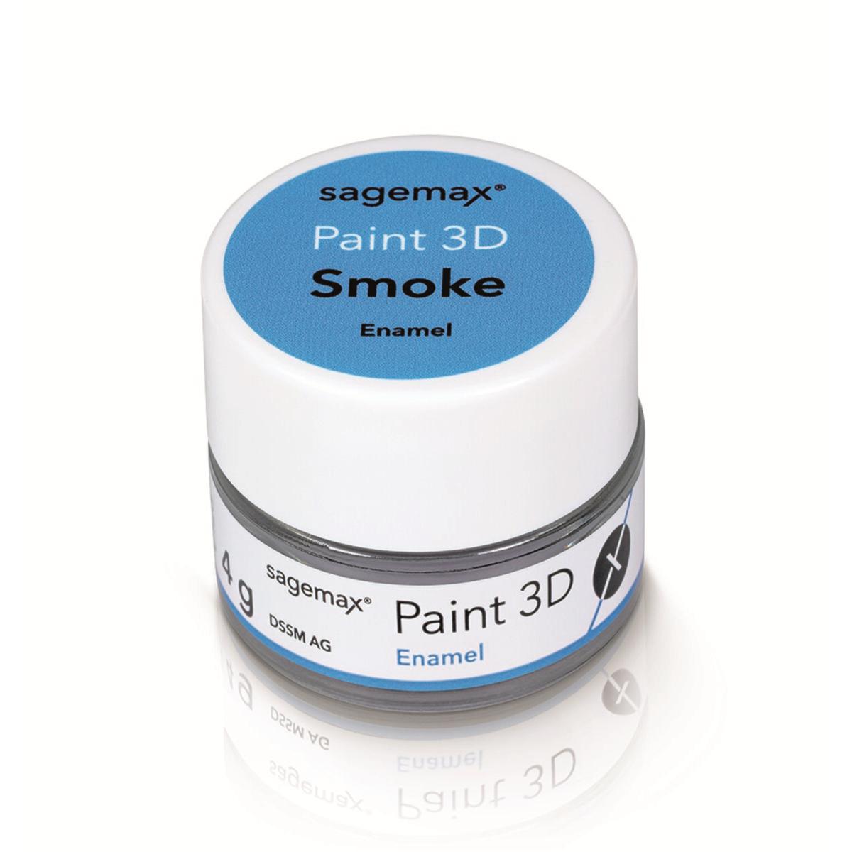 Paint 3D - Enamel 4g - Smoke - SAGEMAX