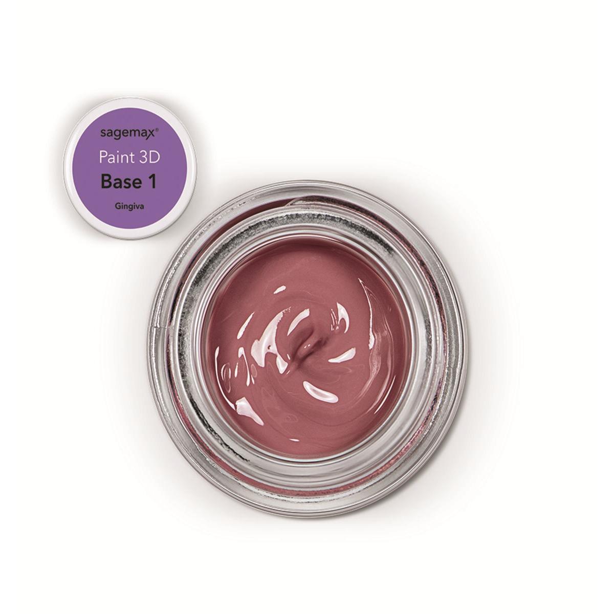 Paint 3D - Gingiva 4g - Base 1 - Sagemax